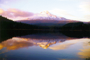 Mt. Hood